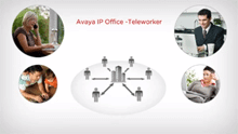 Avaya Teleworker dubai - Avaya UAE